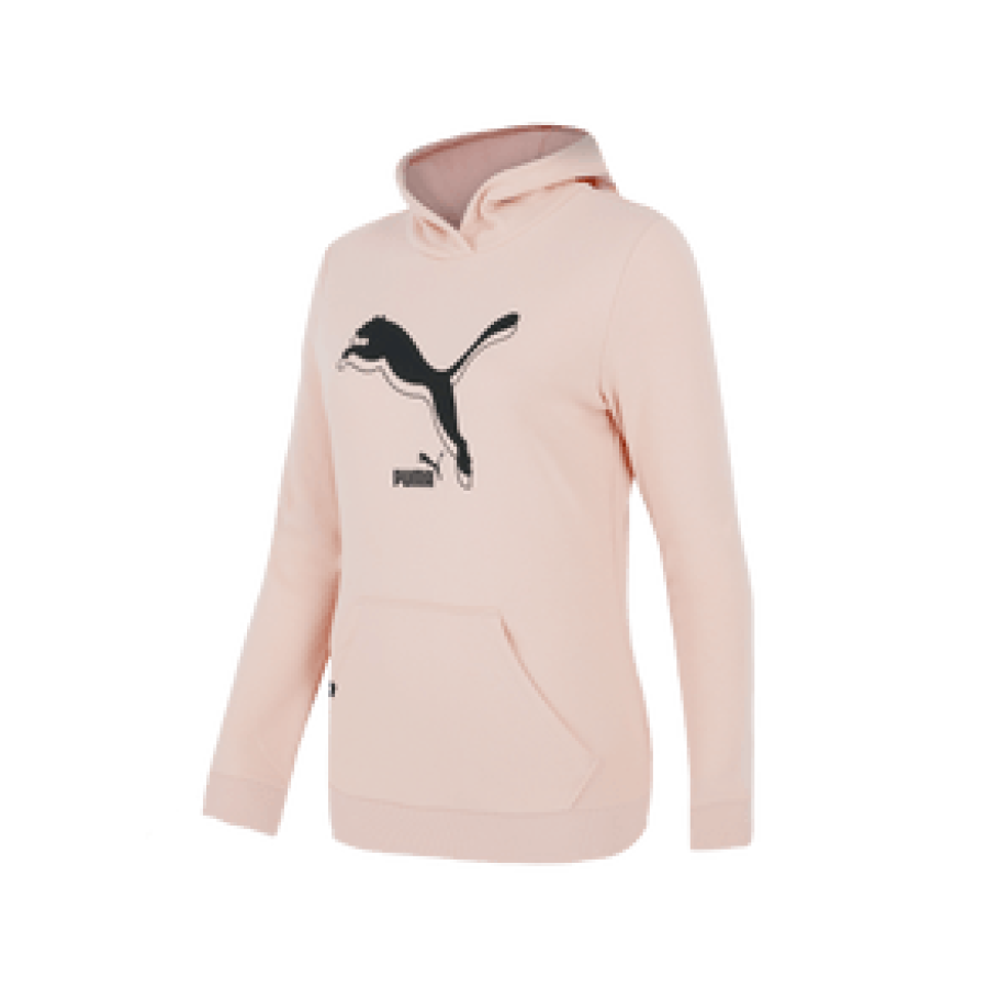 PUMA POWER Logo Hoodie  TR